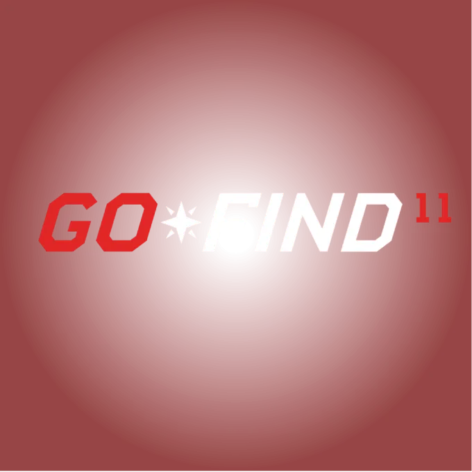 Minelab GO-FIND 11 - 5